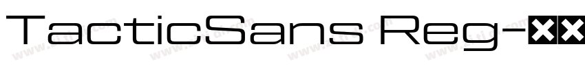 TacticSans Reg字体转换